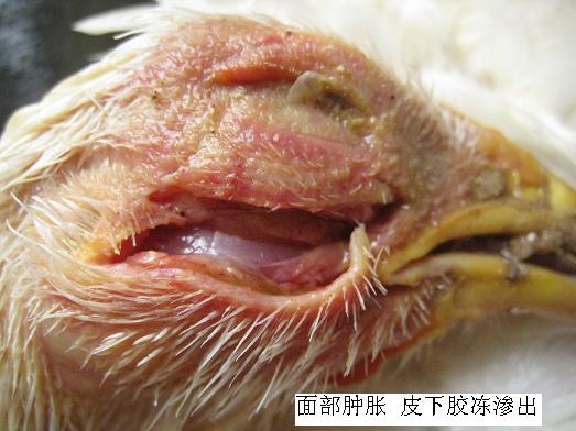 ���ʕr��(y��ng)ԓ��ʲô��λ��ʲô��λ�l(f��)��ʲô����