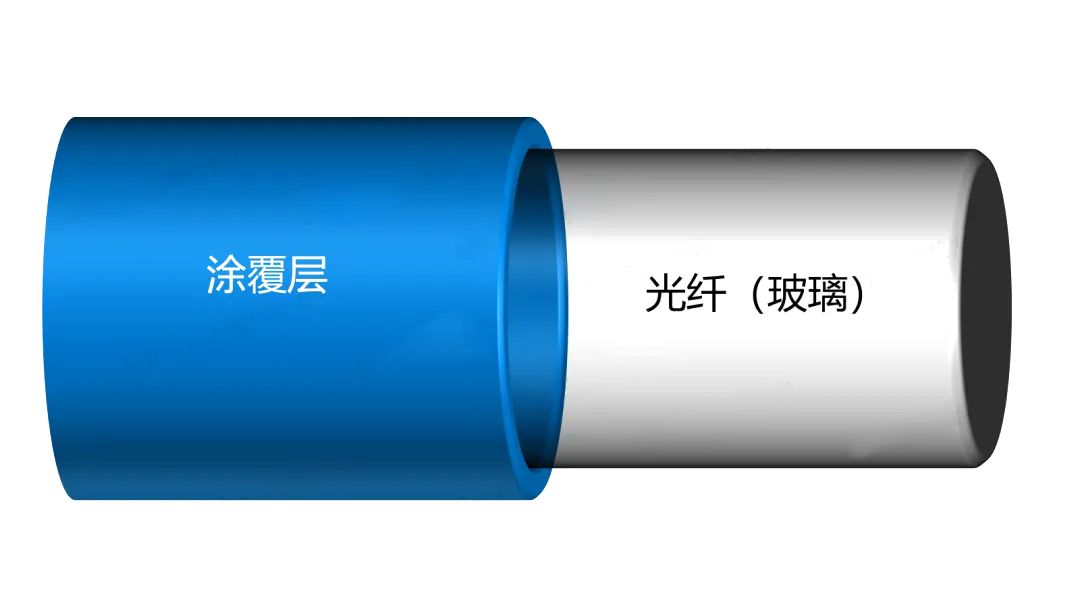 包層.png