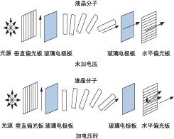 液晶 VOA 加電前后分子排列對比，展示偏振調控原理