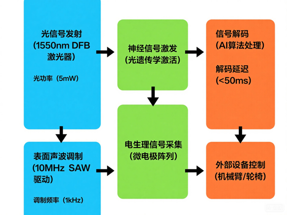 腦機(jī)接口光開(kāi)關(guān)神經(jīng)調(diào)控系統(tǒng)工作流程圖